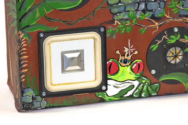 Réintroduction – Image 4