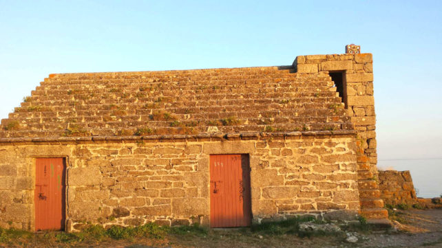 Amigo – Image 2