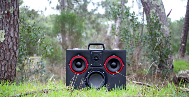 Vermeil - 100 watts – Image 2