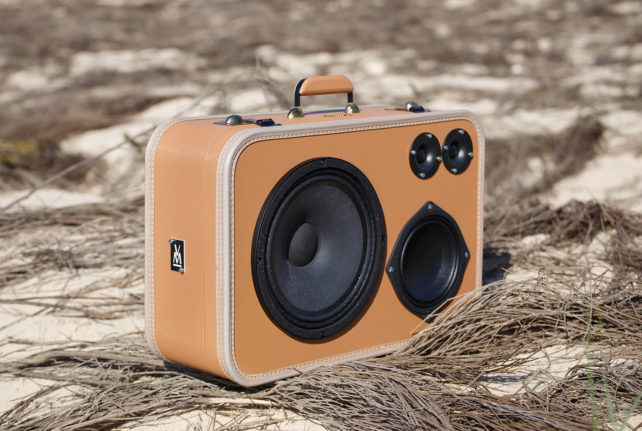 Oasis - 100 watts – Image 6