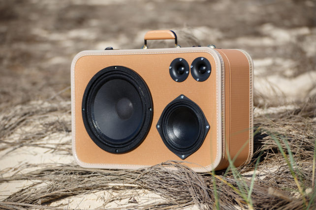 Oasis - 100 watts – Image 2