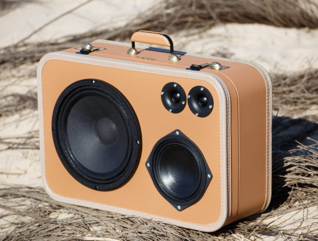 Oasis - 100 watts – Image 5